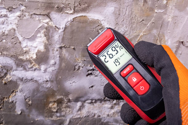 Best Water Damage Restoration  in Spurgeon, TN