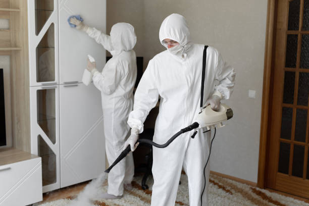 Best Crawl Space Mold Removal  in Spurgeon, TN